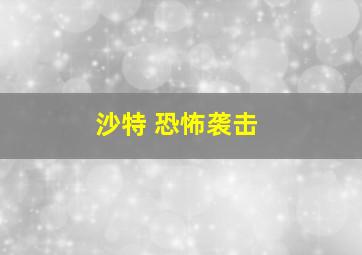 沙特 恐怖袭击